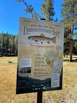 Signage at Silver Creek informing visitors about native Lahontan cutthroat trout.